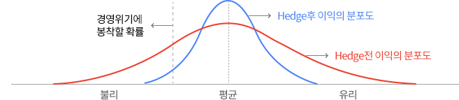 극단적 환율움직임의 방어